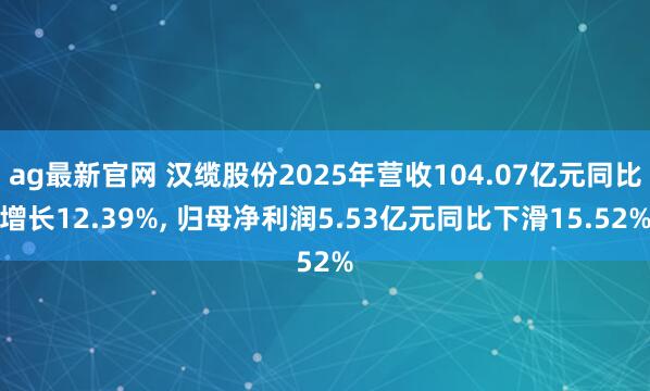ag最新官网 汉缆股份2025年营收104.07亿元同比增长12.39%， 归母净利润5.53亿元同比下滑15.52%
