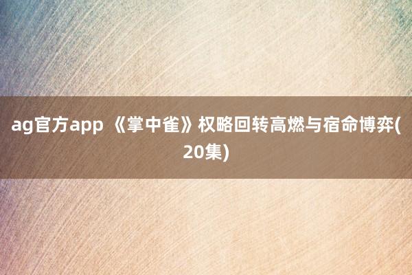ag官方app 《掌中雀》权略回转高燃与宿命博弈(20集)