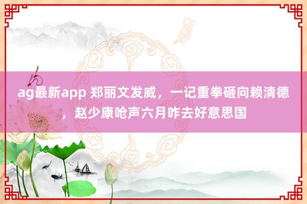 ag最新app 郑丽文发威，一记重拳砸向赖清德，赵少康呛声六月咋去好意思国
