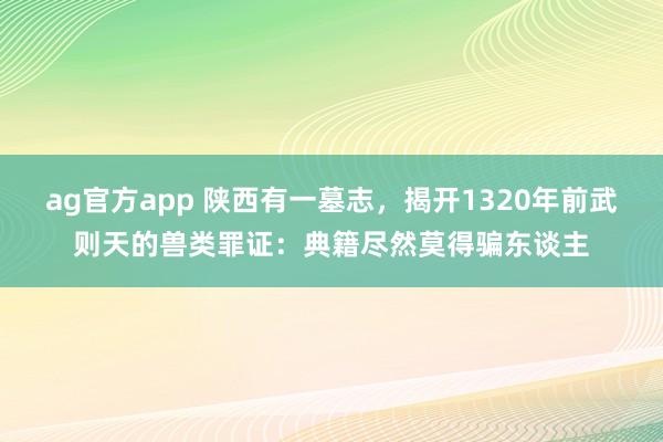 ag官方app 陕西有一墓志，揭开1320年前武则天的兽类罪证：典籍尽然莫得骗东谈主