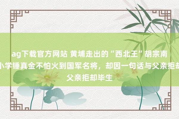 ag下载官方网站 黄埔走出的“西北王”胡宗南：从小学锤真金不怕火到国军名将，却因一句话与父亲拒却毕生