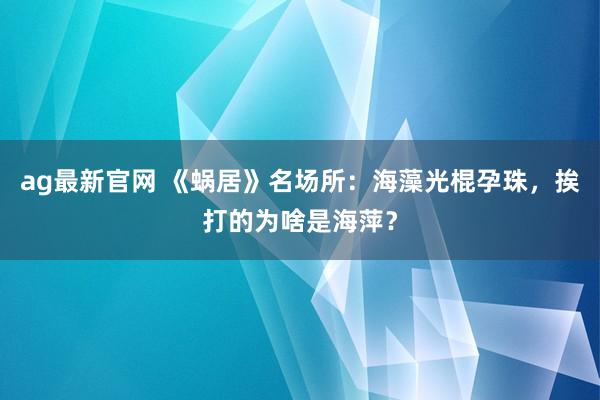 ag最新官网 《蜗居》名场所：海藻光棍孕珠，挨打的为啥是海萍？