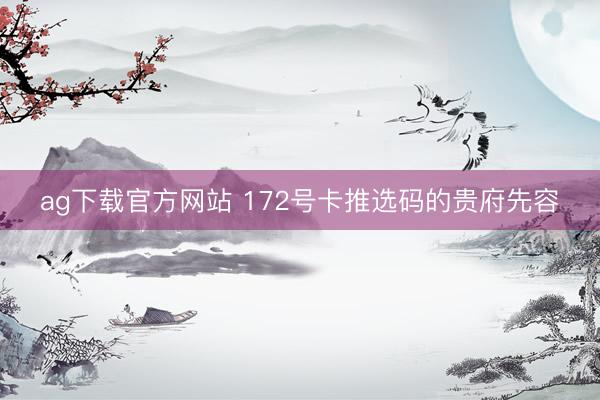 ag下载官方网站 172号卡推选码的贵府先容